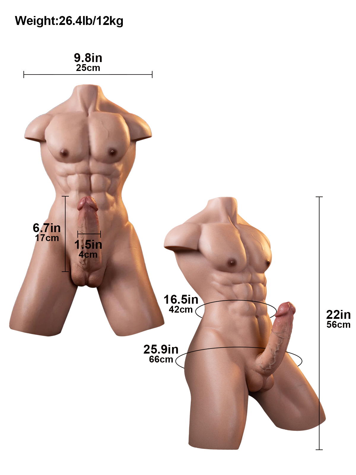 Lucas: 26.45LB Silicone Half-Body Male Sex Torso with 6.69" Realistic Dildo