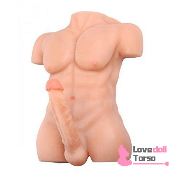 Torso Dildo Alden-16LB Cheap Male Torso Dolls With 8″ Dildo 3